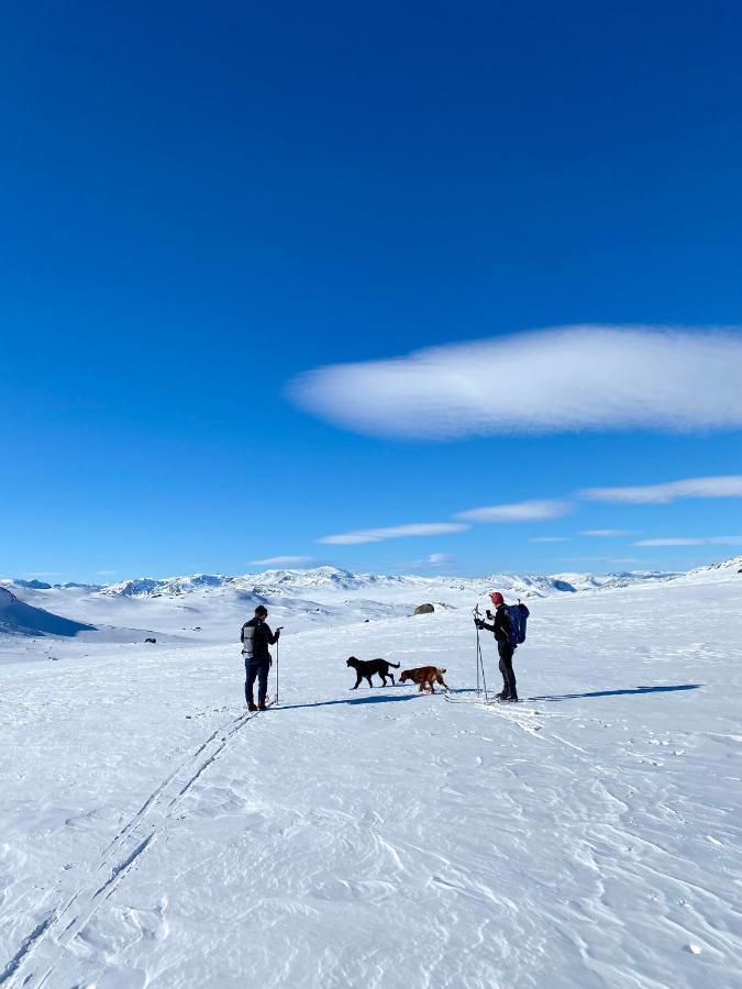 Hyggelig Leilighet I Sentrum Hemsedal Exteriör bild
