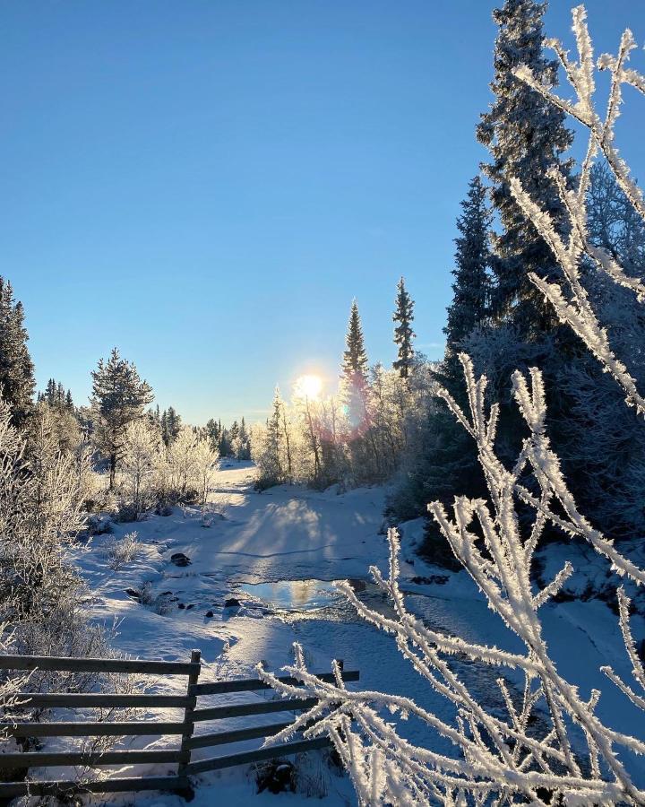 Hyggelig Leilighet I Sentrum Hemsedal Exteriör bild