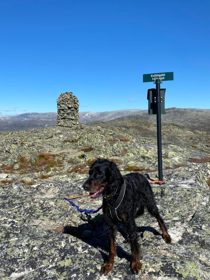 Hyggelig Leilighet I Sentrum Hemsedal Exteriör bild