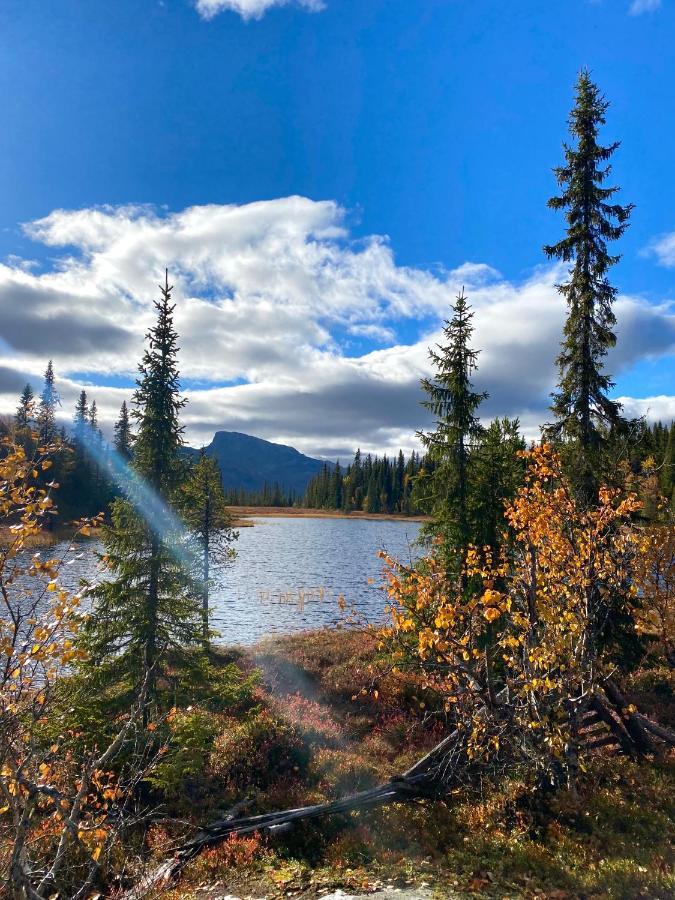 Hyggelig Leilighet I Sentrum Hemsedal Exteriör bild