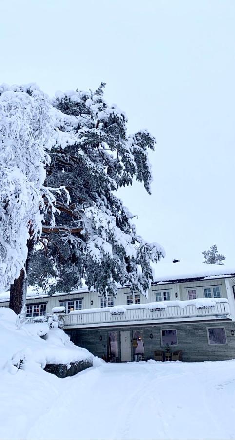 Hyggelig Leilighet I Sentrum Hemsedal Exteriör bild