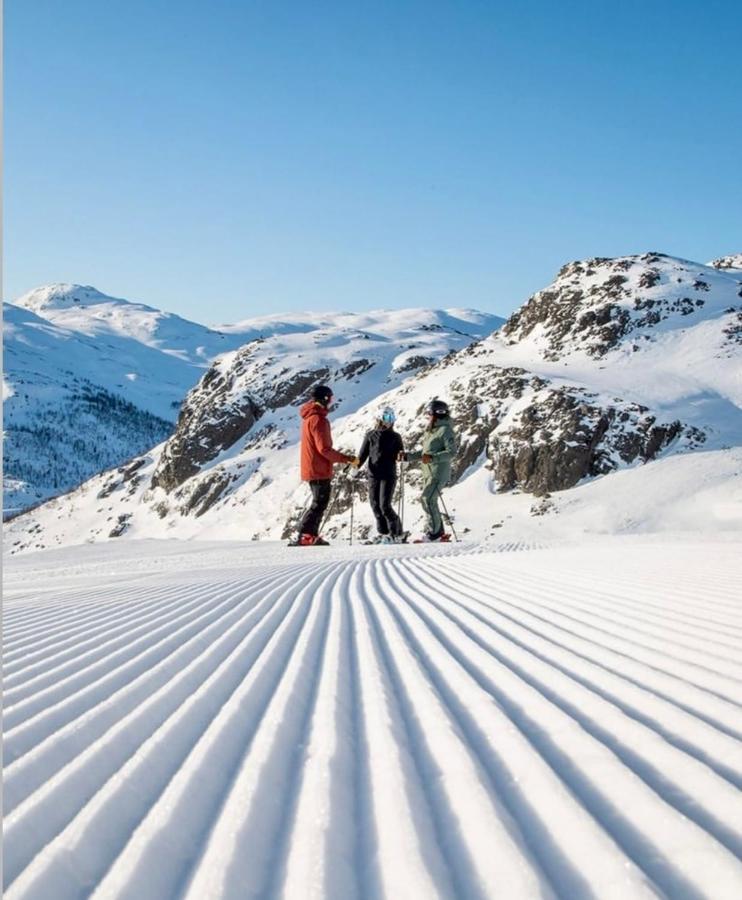 Hyggelig Leilighet I Sentrum Hemsedal Exteriör bild