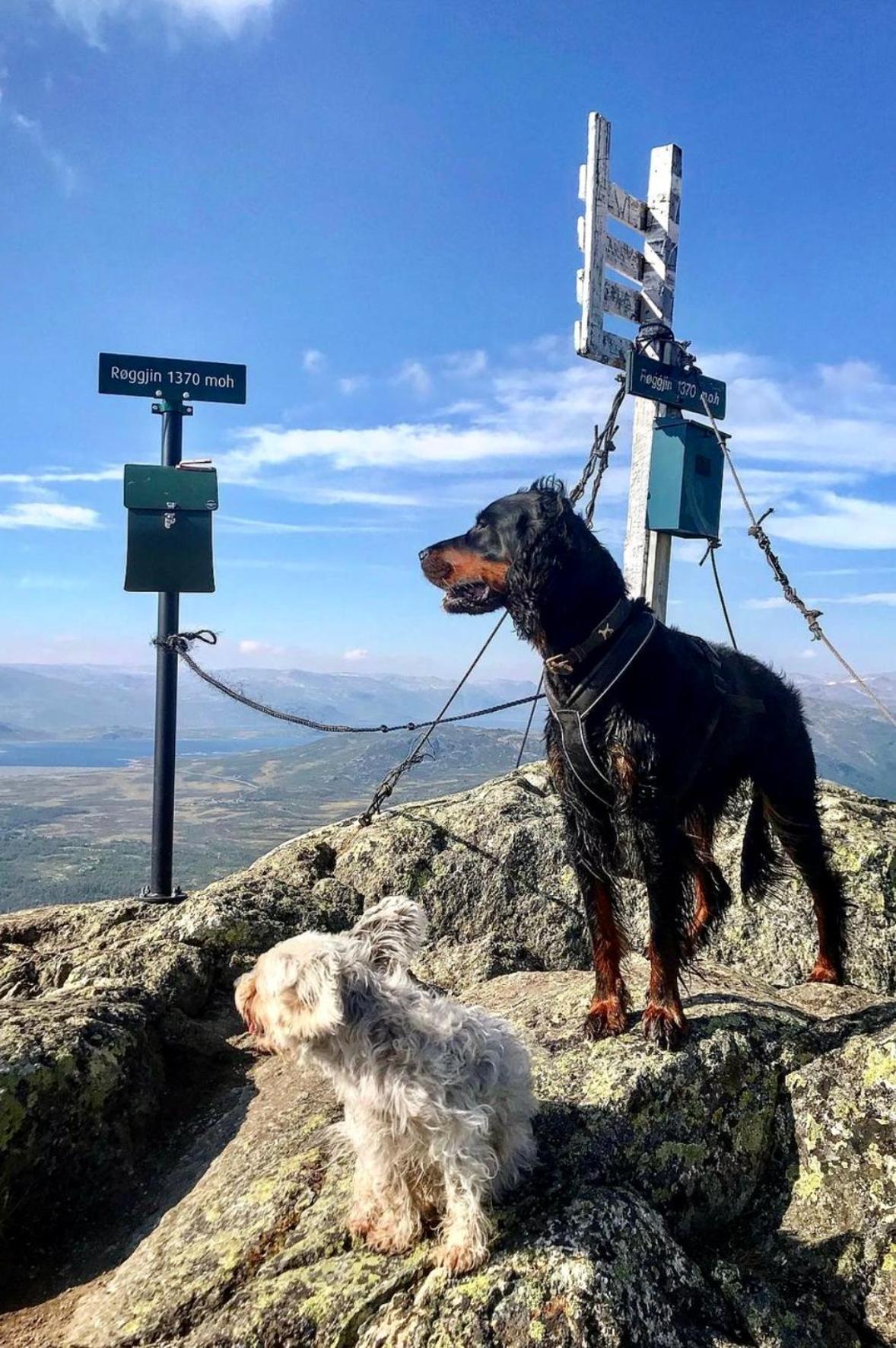 Hyggelig Leilighet I Sentrum Hemsedal Exteriör bild